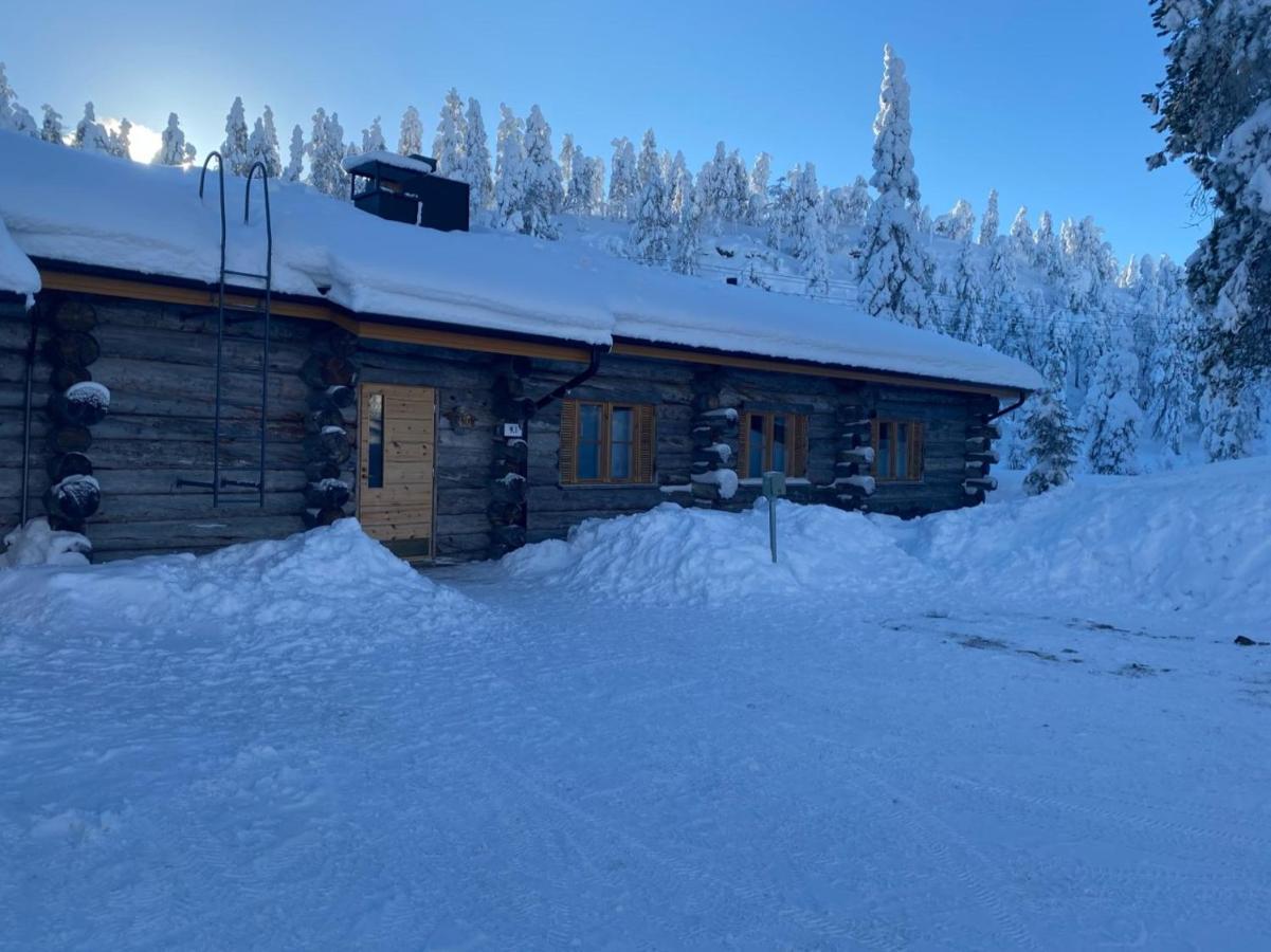 Ruska-ruka 9.1 * Ruka